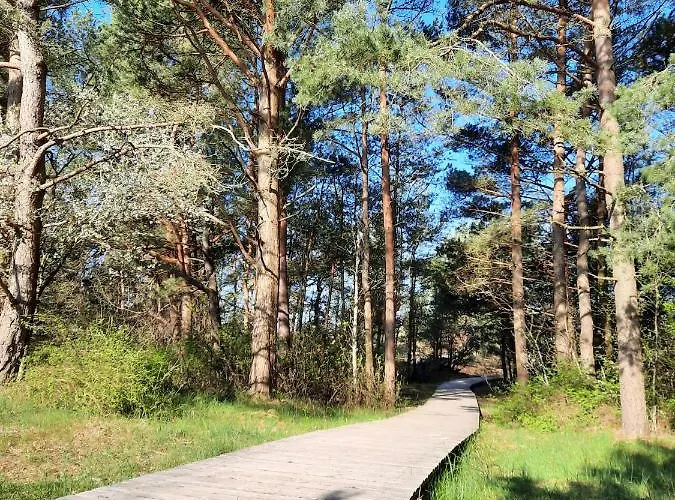 Ella - Sviesu. Stilinga. Jauku. דירה